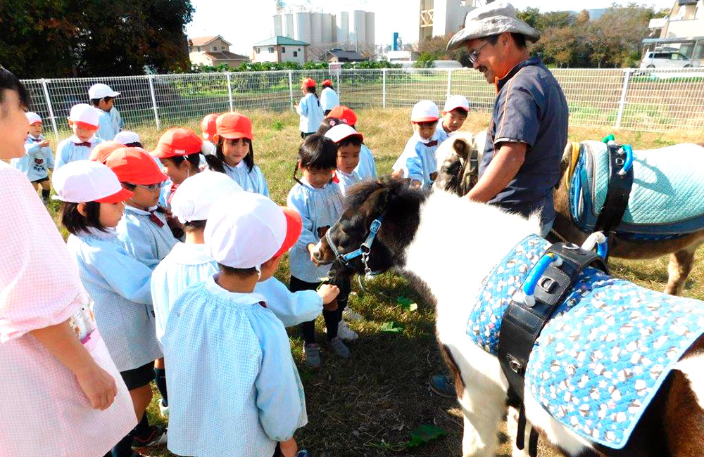 ポニーに乗馬