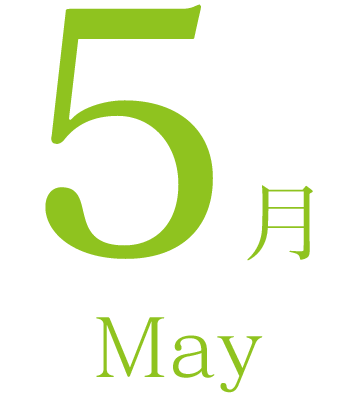 5月