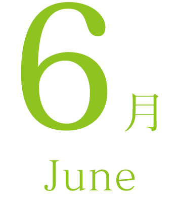 6月