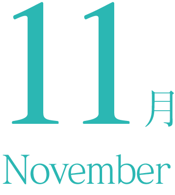 11月